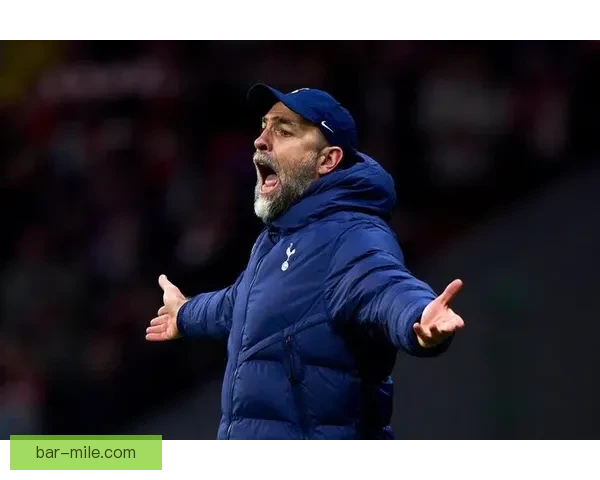 热刺官宣维尔纳租借期延长一年德甲快马继续留队冲击英超新赛季