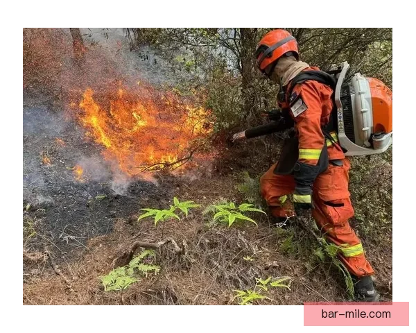森林队违规遭重罚积分缩水引发联赛新一轮关注